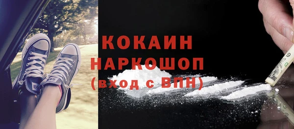 крисы Новокубанск