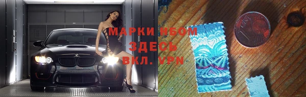 крисы Новокубанск