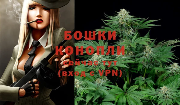 метадон Новозыбков