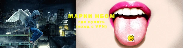 крисы Новокубанск