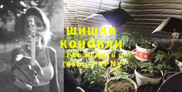 ГАЛЛЮЦИНОГЕННЫЕ ГРИБЫ Новодвинск