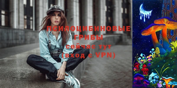 ГАЛЛЮЦИНОГЕННЫЕ ГРИБЫ Новодвинск
