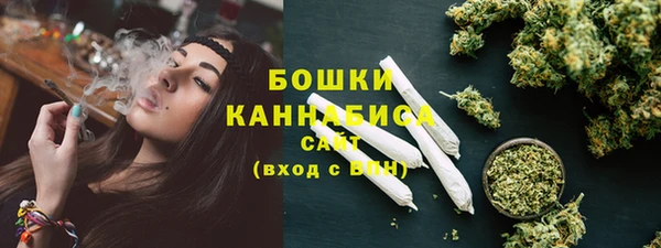 крисы Новокубанск