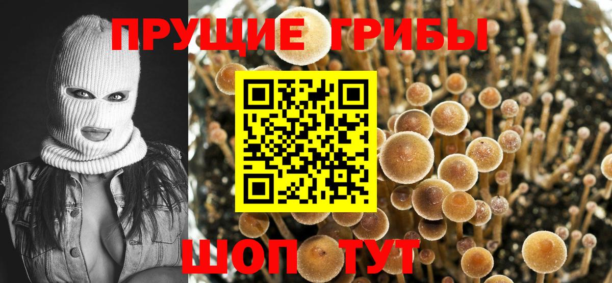 Галлюциногенные грибы мицелий Людиново