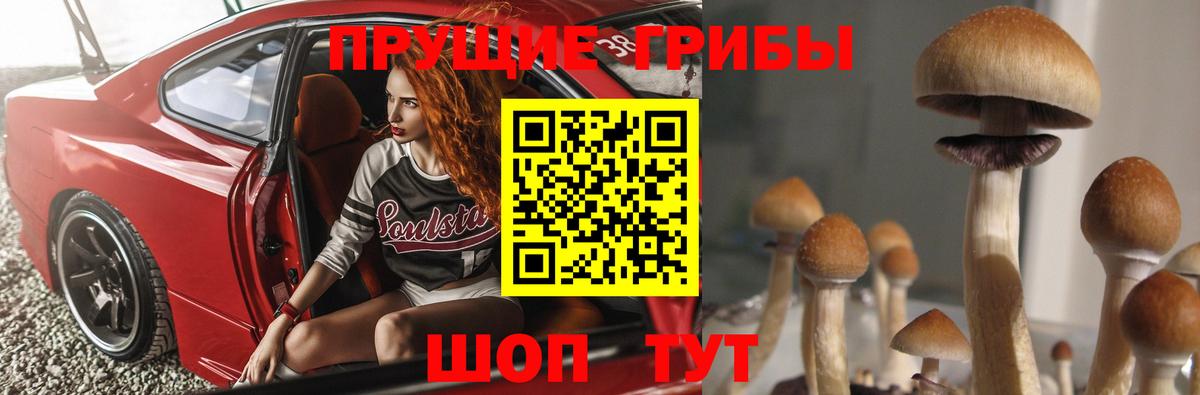 Псилоцибиновые грибы GOLDEN TEACHER  Вход с VPN  Людиново 