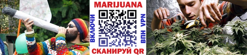 Бошки марихуана Bruce Banner  где купить наркоту  Людиново 